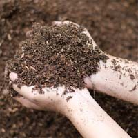 Soil Mineral Linked to Mesothelioma Deaths in Mexico