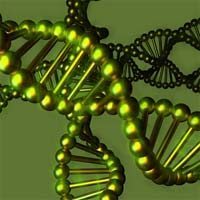 Study Finds Genes May Influence Site of Mesothelioma Tumors
