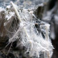 Mesothelioma Risk Depends on Asbestos Fiber Size