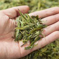 Green Tea Component Fights Mesothelioma