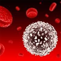 White Blood Cells May Predict Mesothelioma Survival