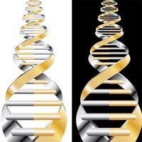 Genetic Mutation Linked to Mesothelioma