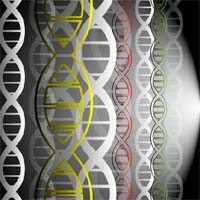 Faulty DNA Repair Genes May Raise Mesothelioma Risk