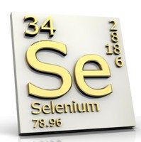 685858_selenium
