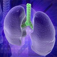 Could Deliberate Lung Collapse Make Mesothelioma Procedure Safer?