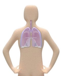 Pleural Mesothelioma Symptoms