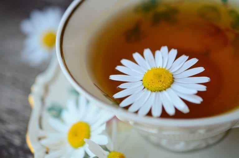 Chamomile Tea May Hold the Secret to Longer Mesothelioma Survival