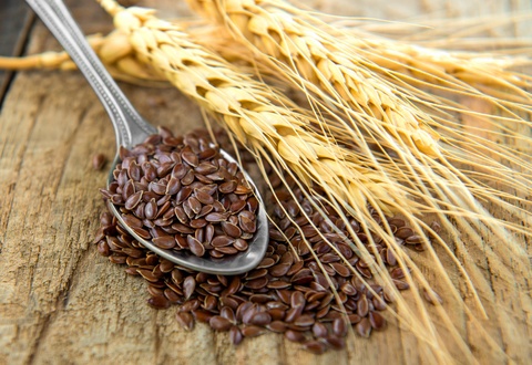 prevent malignant mesothelioma with flaxseed compound