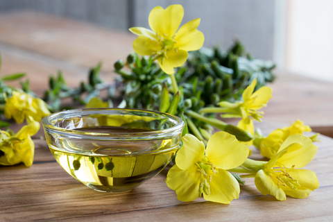 Evening Primrose Extract Acts on Invasive Mesothelioma Cells, Study Shows