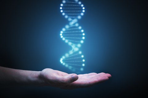 BLM Gene Mutation Increases Mesothelioma Risk, Study Finds