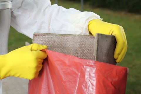 Asbestos Bans Not a Quick Fix for Rising Mesothelioma Incidence
