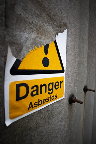 Is Asbestos Fiber Type or Concentration More Important in Mesothelioma?